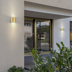 Brushed Brass